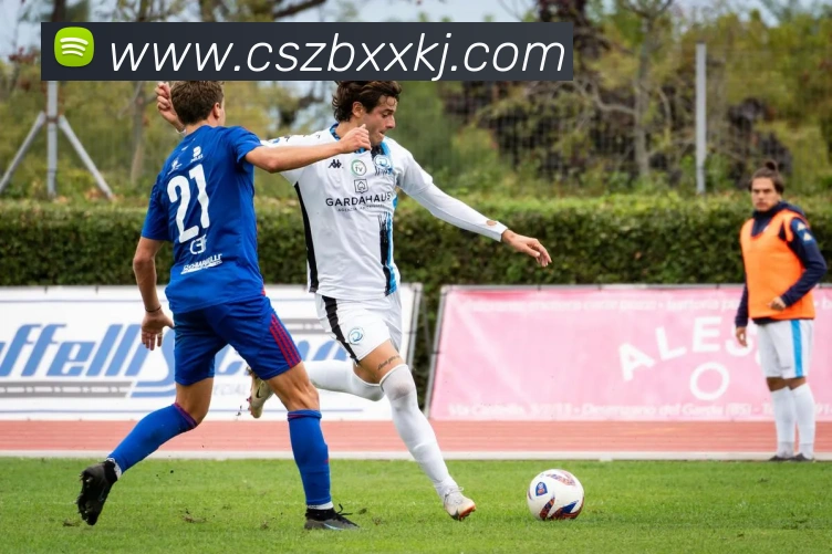 彩神争霸平台生态图